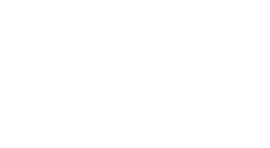 Foundation Wellness